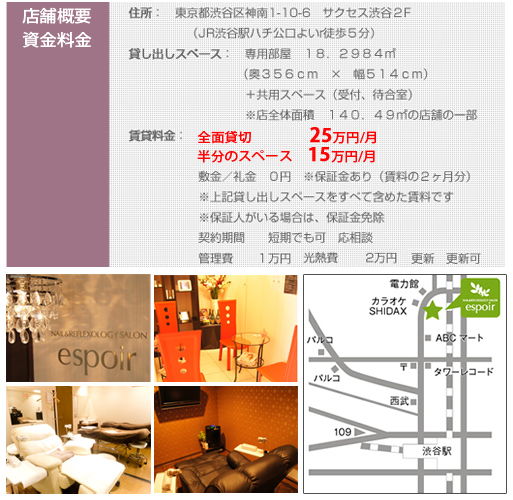 �X�܊T�v�^���ݗ���